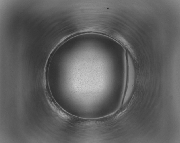 X0000075360892200609151634