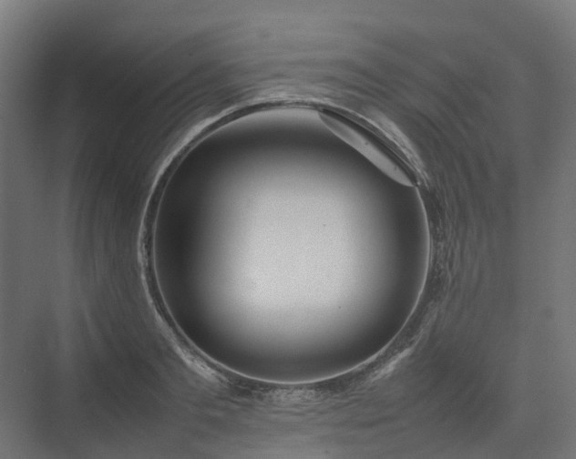 X0000075360893200609151634