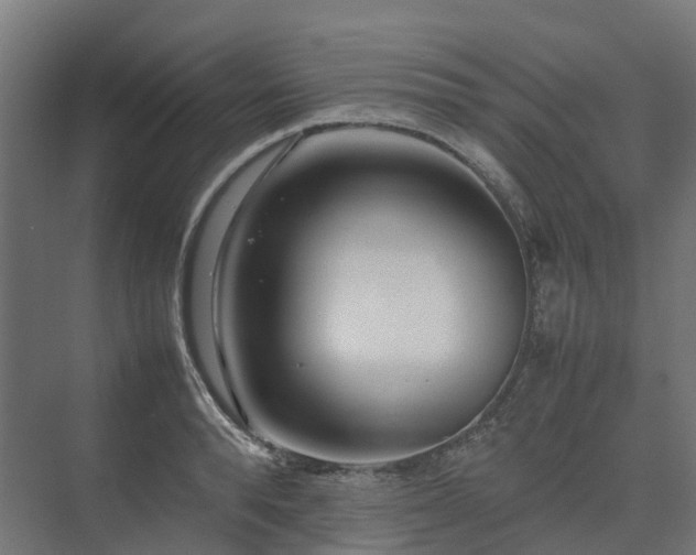 X0000075360896200609151634