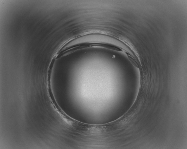 X0000075360898200609151634