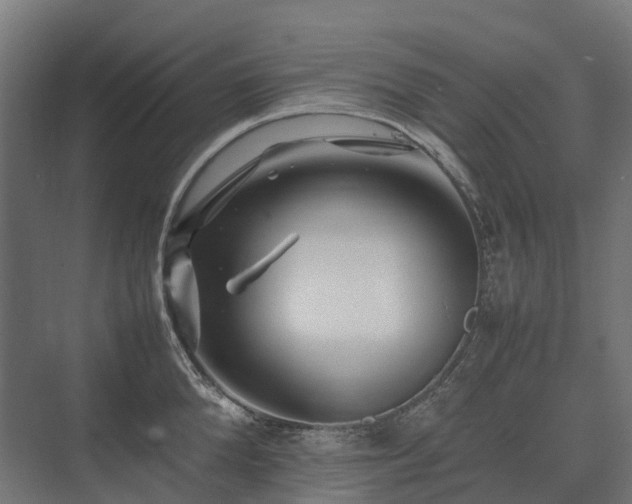 X0000075360904200609151634