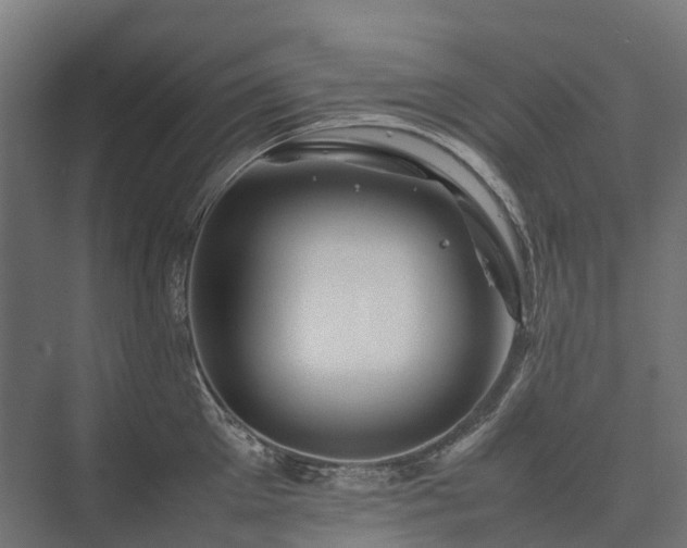 X0000075360905200609151633