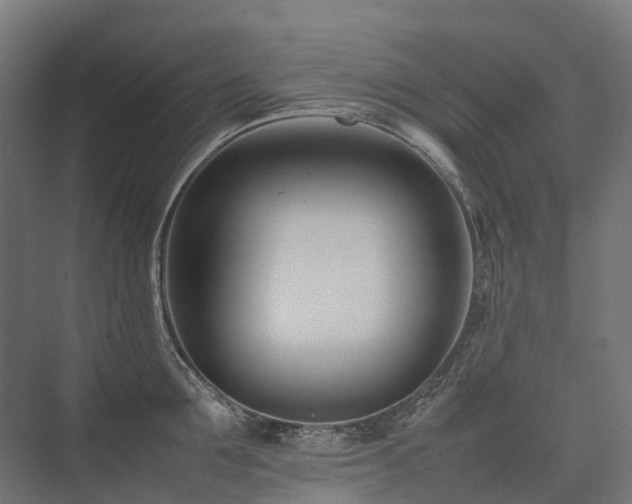 X0000075360907200609151633