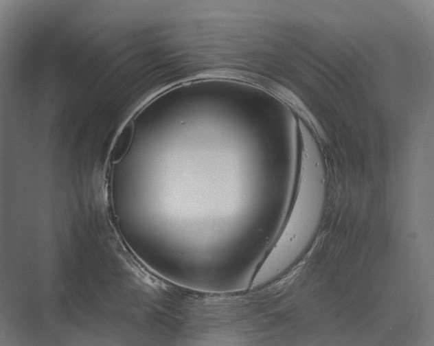 X0000075360908200609151633