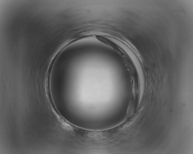 X0000075360909200609151633