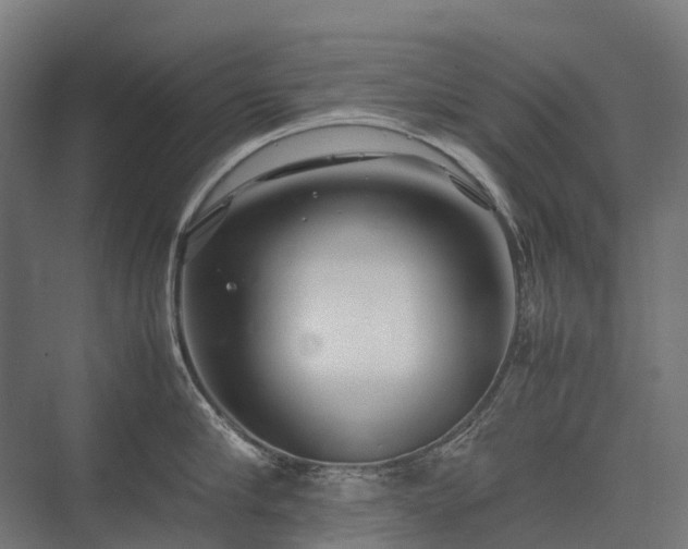 X0000075360910200609151633