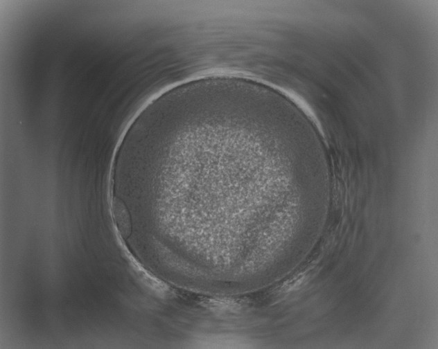 X0000075360911200609151633