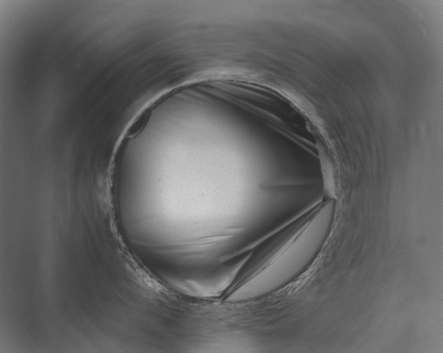 X0000075360912200609151633