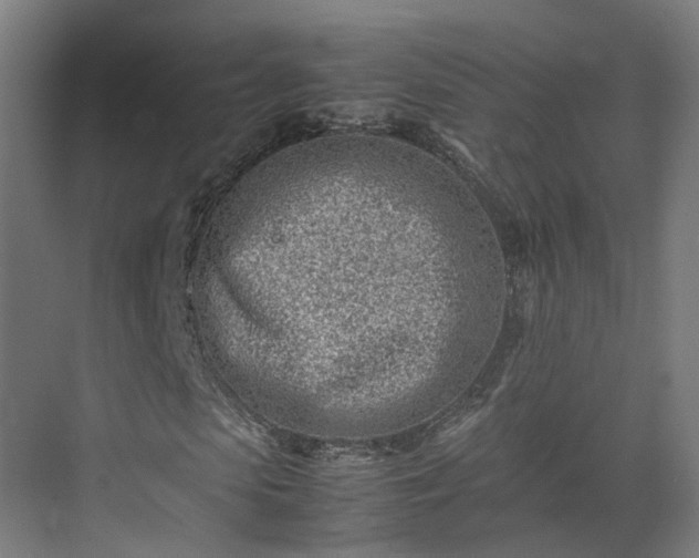 X0000075360913200609151633