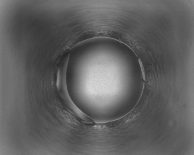 X0000075360916200609151633