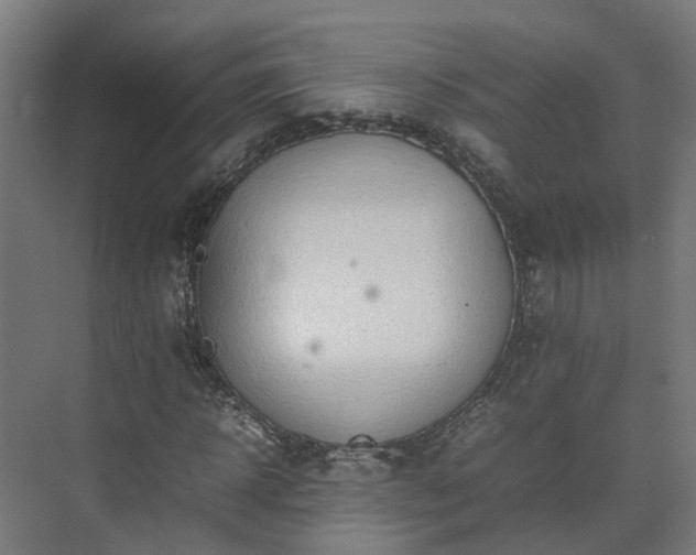 X0000075360918200609151633