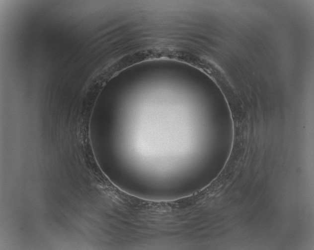 X0000075360919200609151633