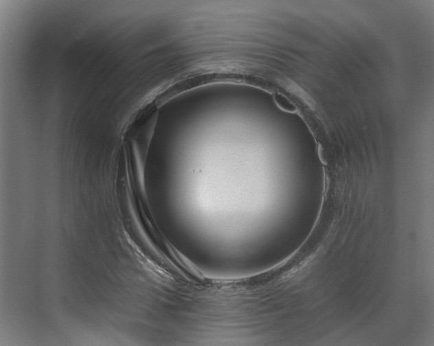 X0000075360922200609151633