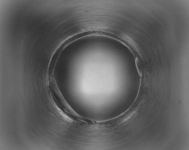 X0000075360924200609151633