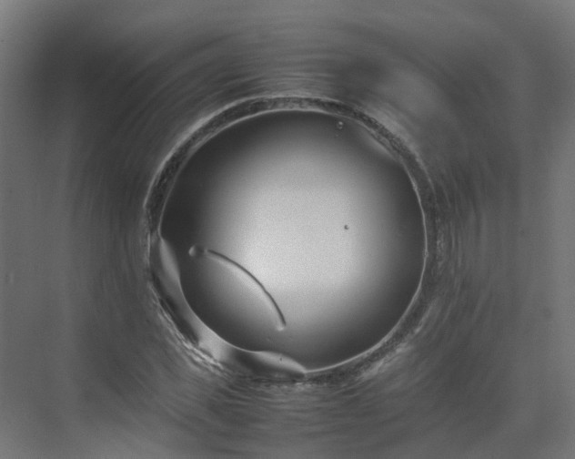 X0000075360925200609151633