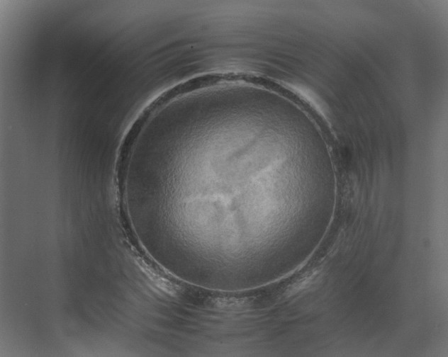 X0000075360927200609151633