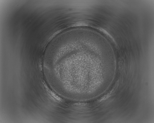 X0000075360929200609151633