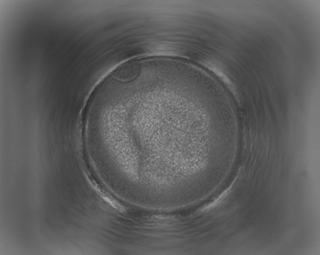 X0000075360933200609151633