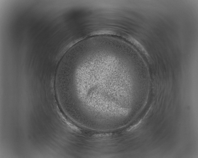 X0000075360937200609151633