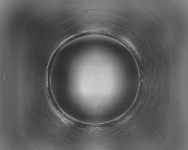 X0000075360940200609151633