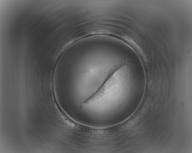 X0000075360945200609151633