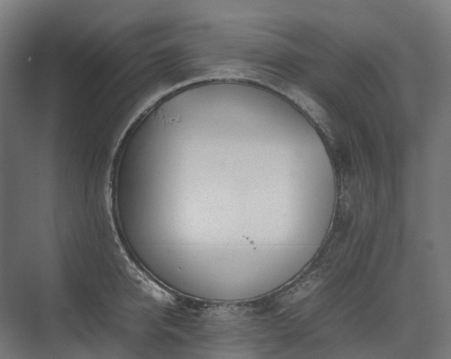 X0000075360950200609151633