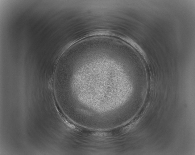 X0000075360953200609151633