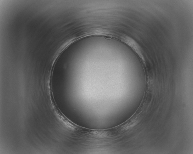 X0000075360954200609151633