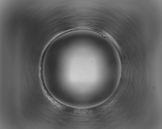 X0000075360955200609151633