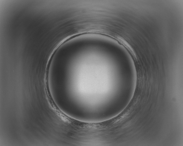 X0000075360956200609151633