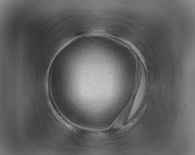 X0000075360957200609151633