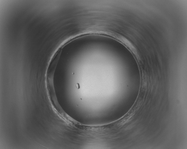 X0000075360958200609151633