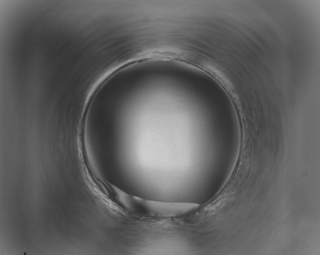 X0000075360960200609151633