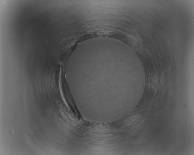 X0000075360962200609151633