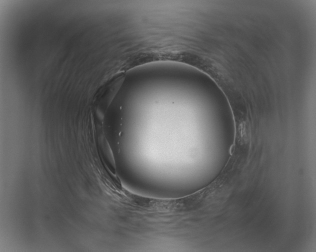 X0000075360963200609151633