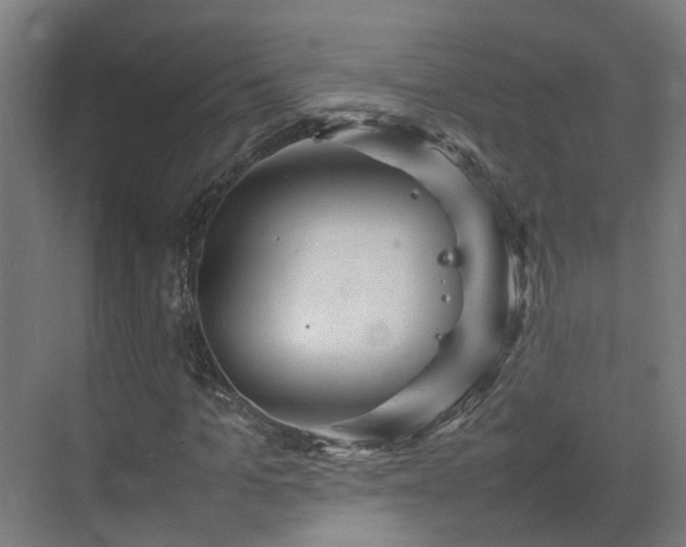 X0000075360965200609151632