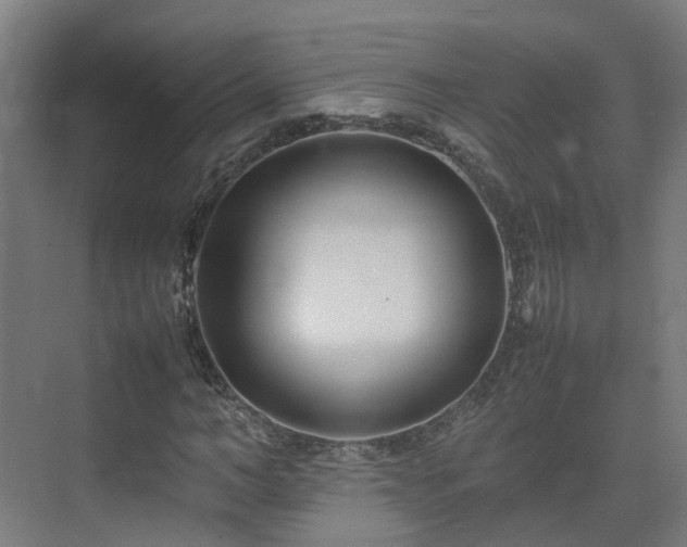 X0000075360966200609151632