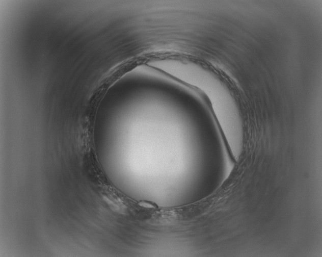 X0000075360968200609151632