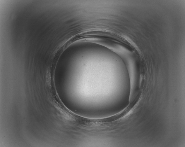 X0000075360969200609151632