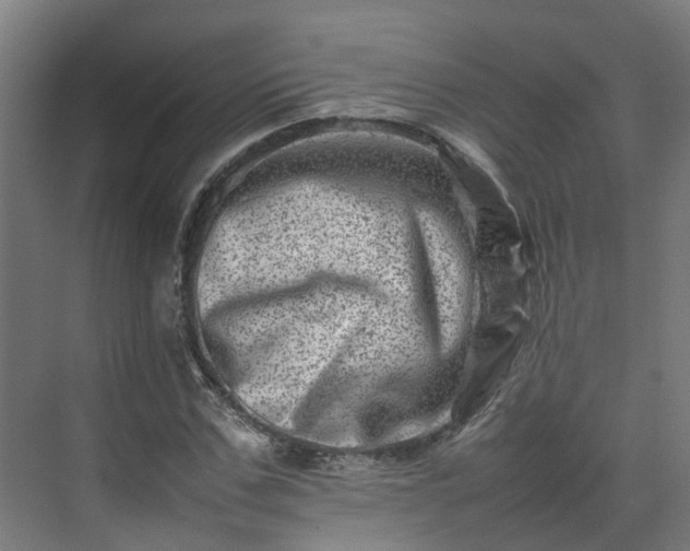 X0000075360971200609151632