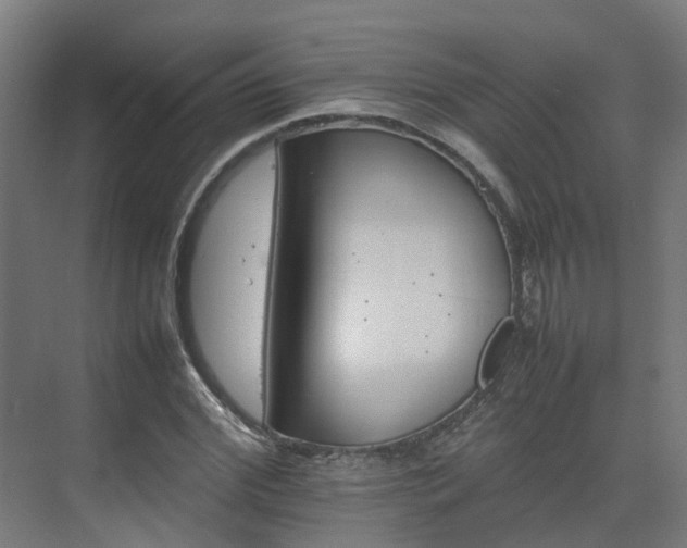 X0000075360972200609151632