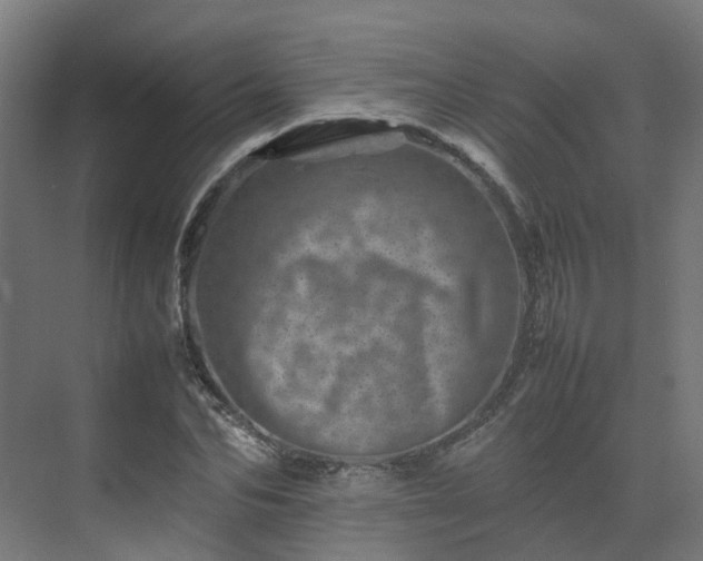 X0000075360974200609151632