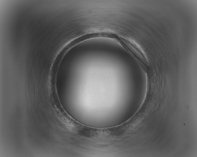 X0000075360975200609151632