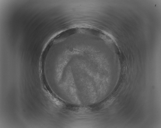 X0000075360979200609151632