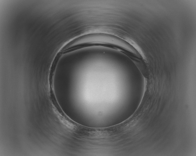 X0000075360980200609151632