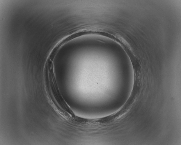 X0000075360981200609151632