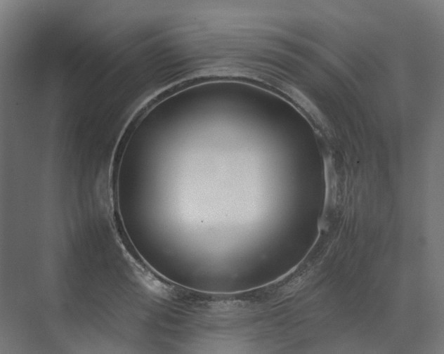 X0000075360988200609151632