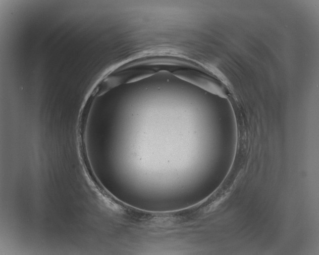 X0000075360989200609151632