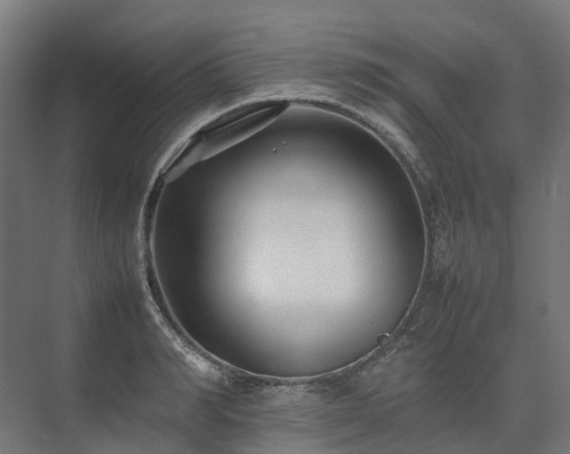 X0000075360990200609151632