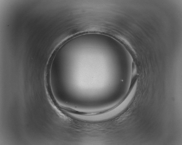 X0000075360991200609151632